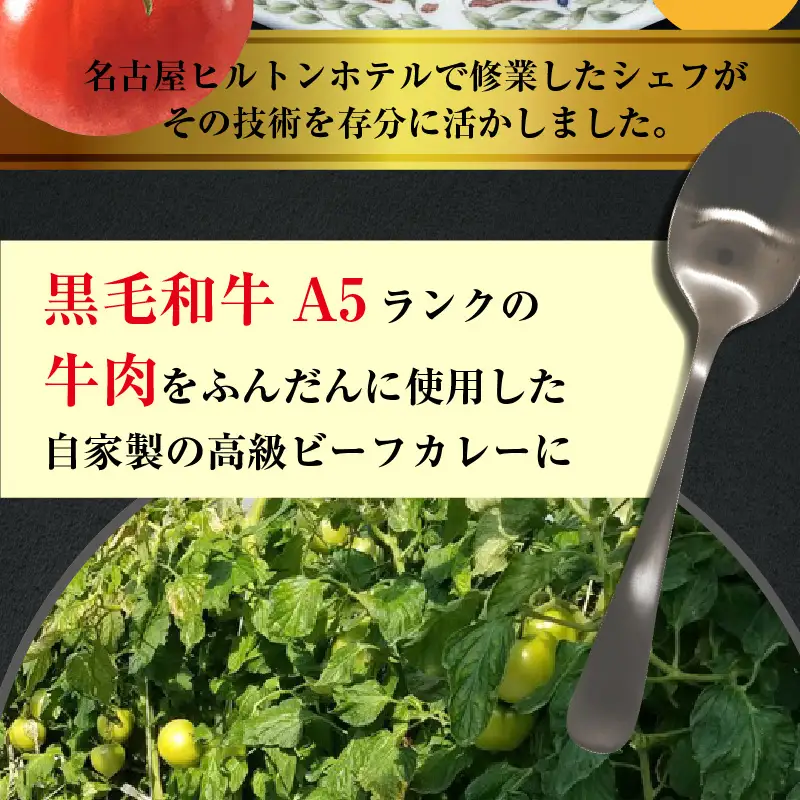 お肉屋さんのトマト入りビーフカレー　5袋_19-358