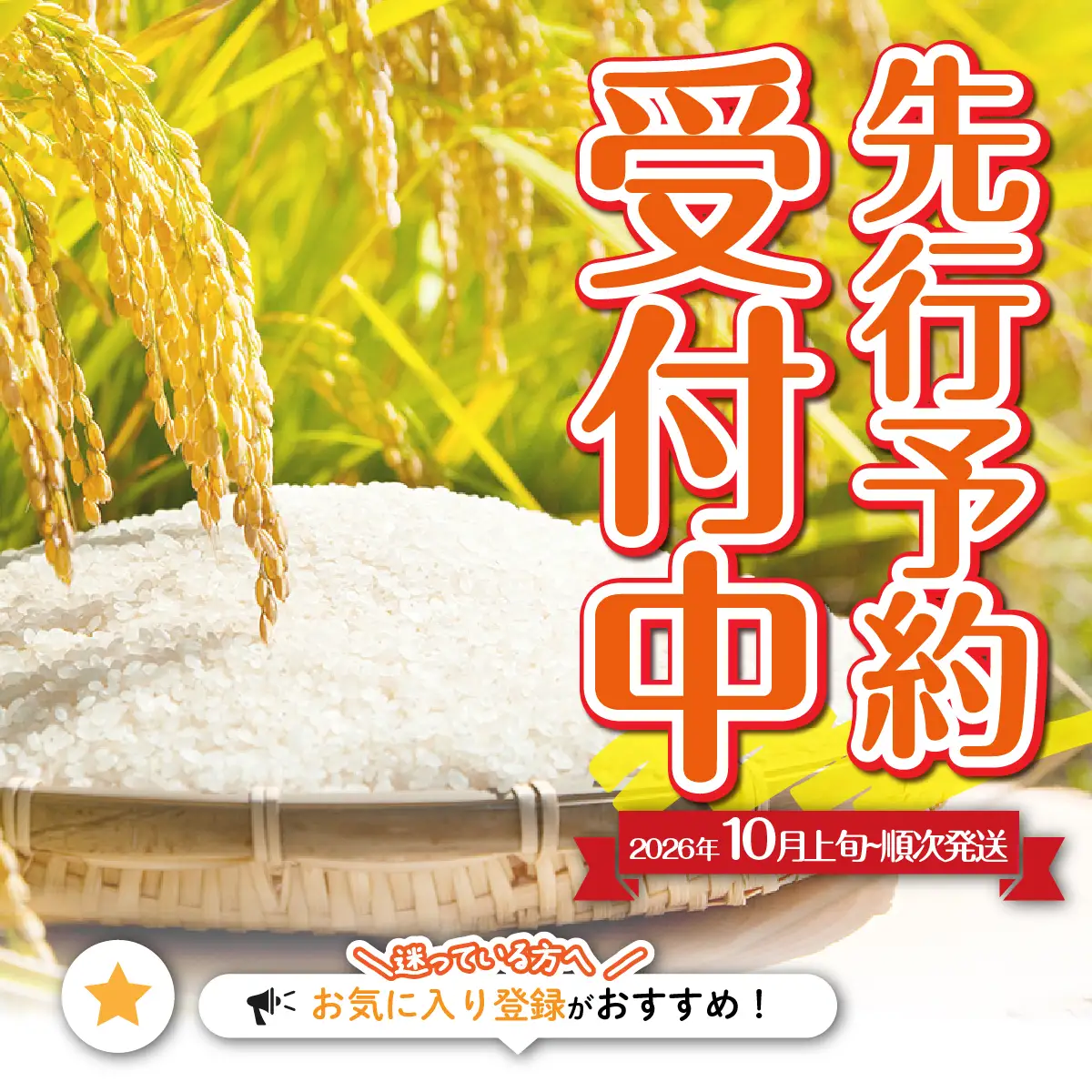 【先行予約】（令和8年産）米300ｇ×3（ななつぼし、ゆめぴりか、ふっくりんこ） NAZ023
