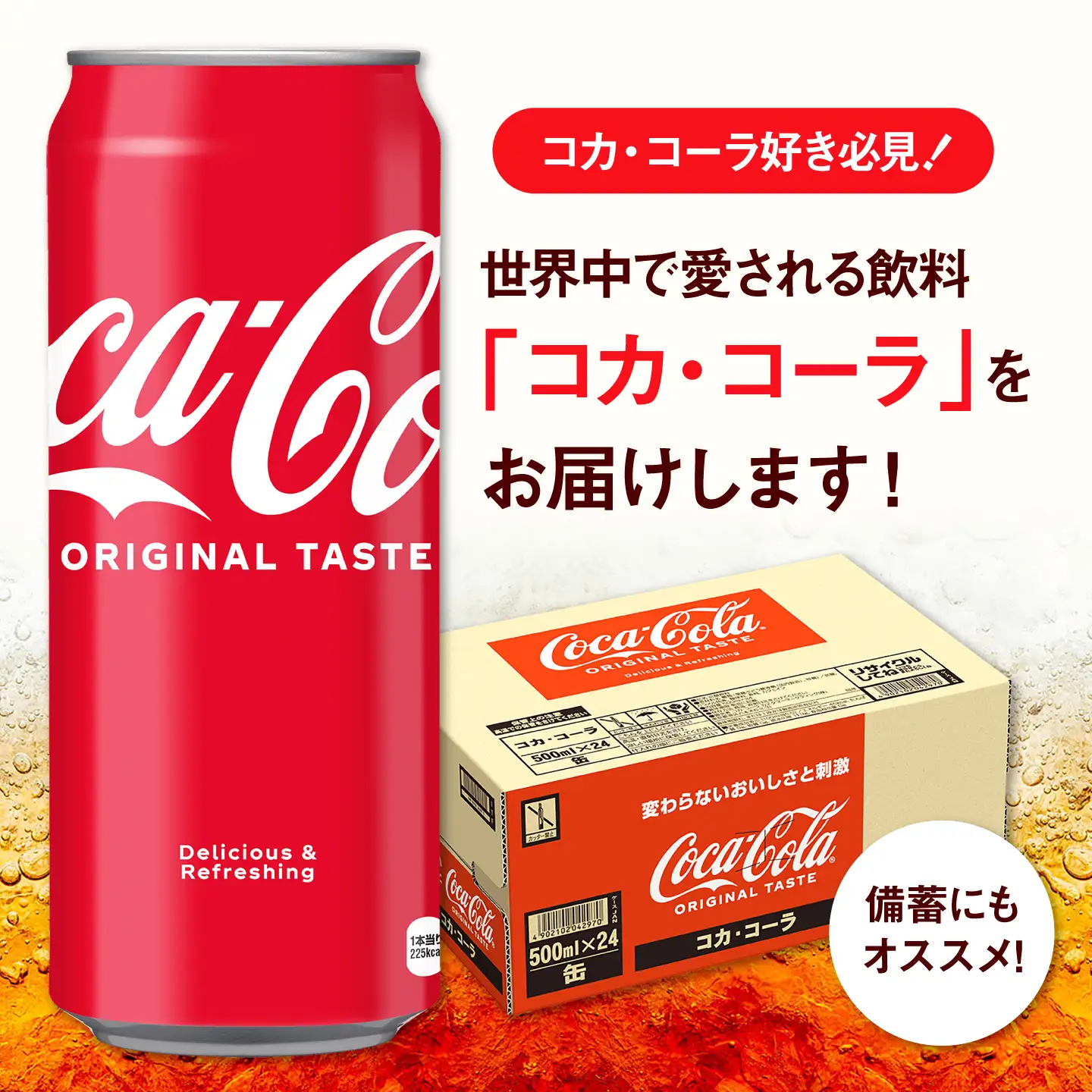 【全2回定期便】 コカ・コーラ 500ml×24本 / 炭酸飲料 ドリンク ジュース / 佐賀県 / コカ・コーラボトラーズジャパン株式会社[41AFAO043]