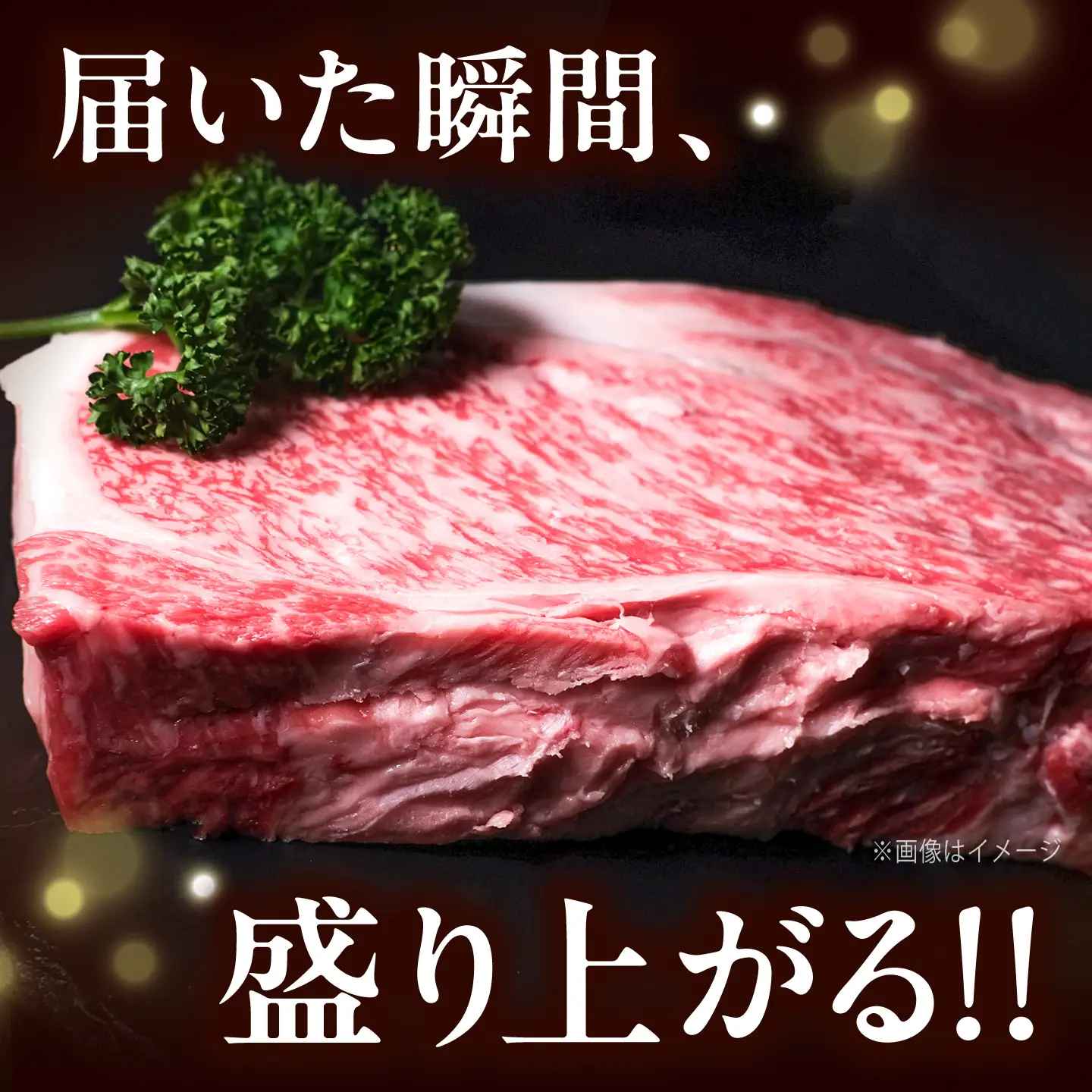 博多和牛 牛肉 ロース ブロック 500g [BGBY009] ロース ブロック肉