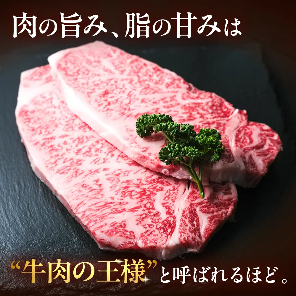 【全12回定期便】博多和牛 牛肉 サーロイン ステーキ 500g（250g×2）[BGBY076] サーロイン ステーキ 国産