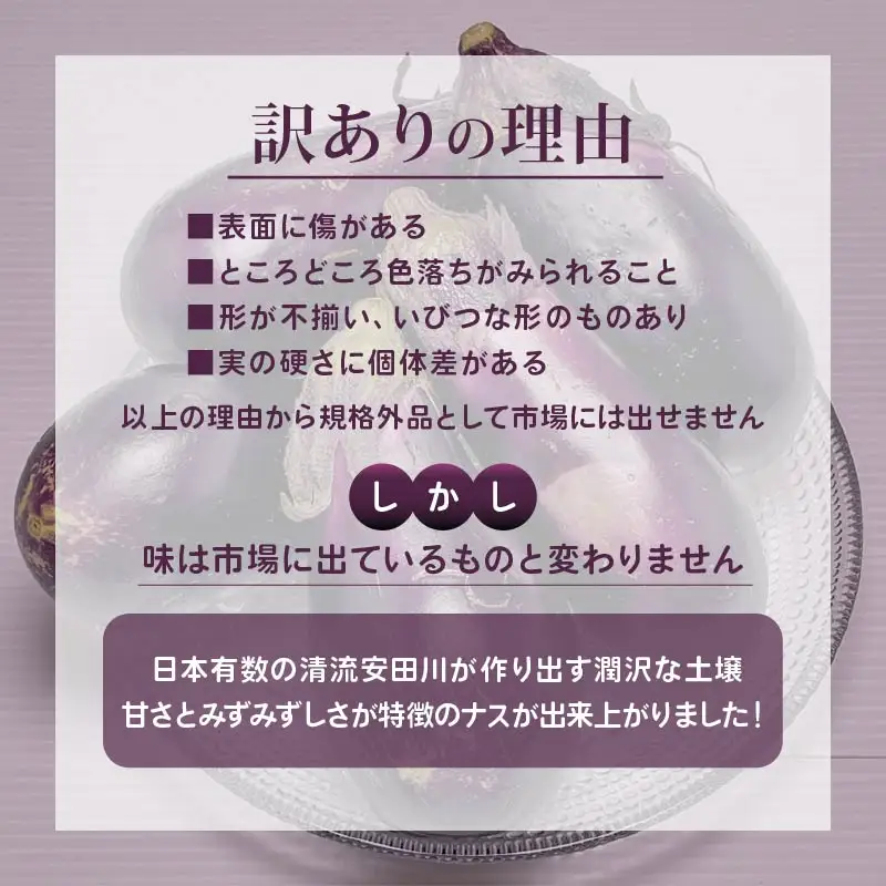 【先行受付】 安田町産 「超」 訳あり ナス なす 2kg  新鮮 野菜 YM-0002
