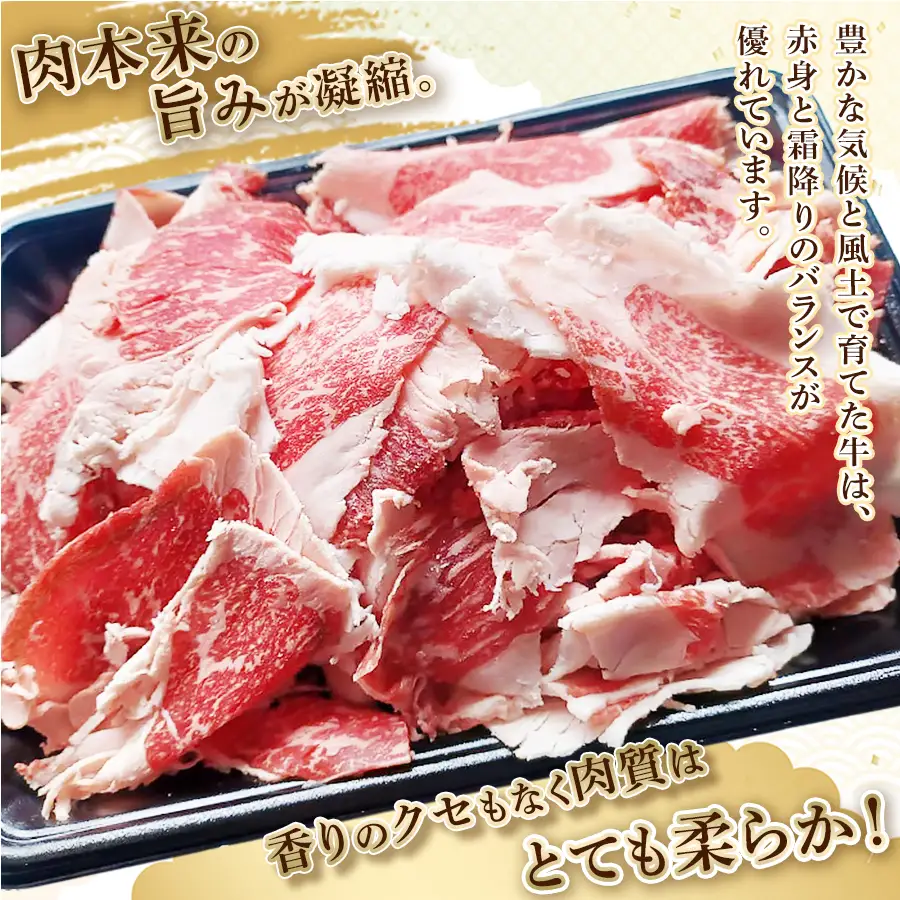 76-B6【訳あり】新潟県産牛（長岡産）バラ切り落とし 500g×1P