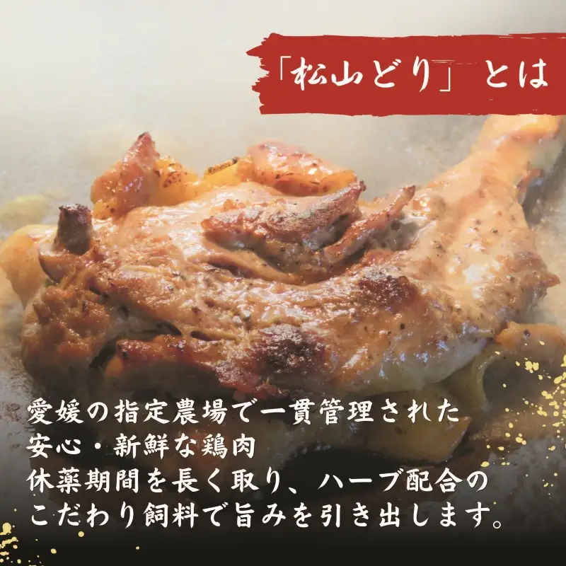 【人気店の味】松山骨付鳥 親鳥 3本セット 骨付鶏 松山【ACF004】