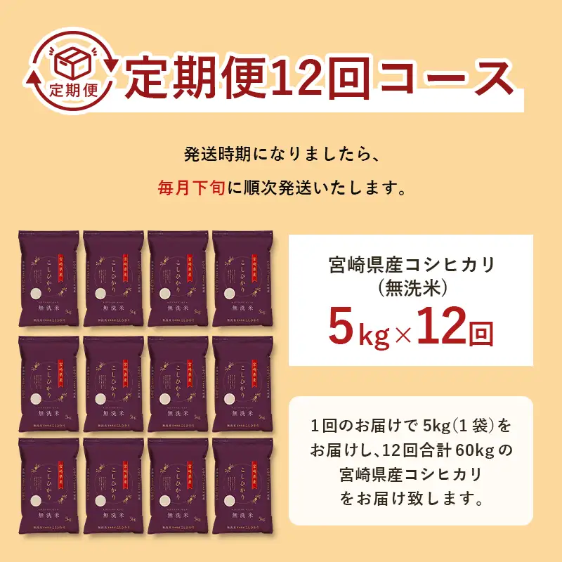 【12か月定期便】 無洗米 ＜チャック付＞ 新米 国産 令和8年産 コシヒカリ 宮崎県産（5kg×12回）