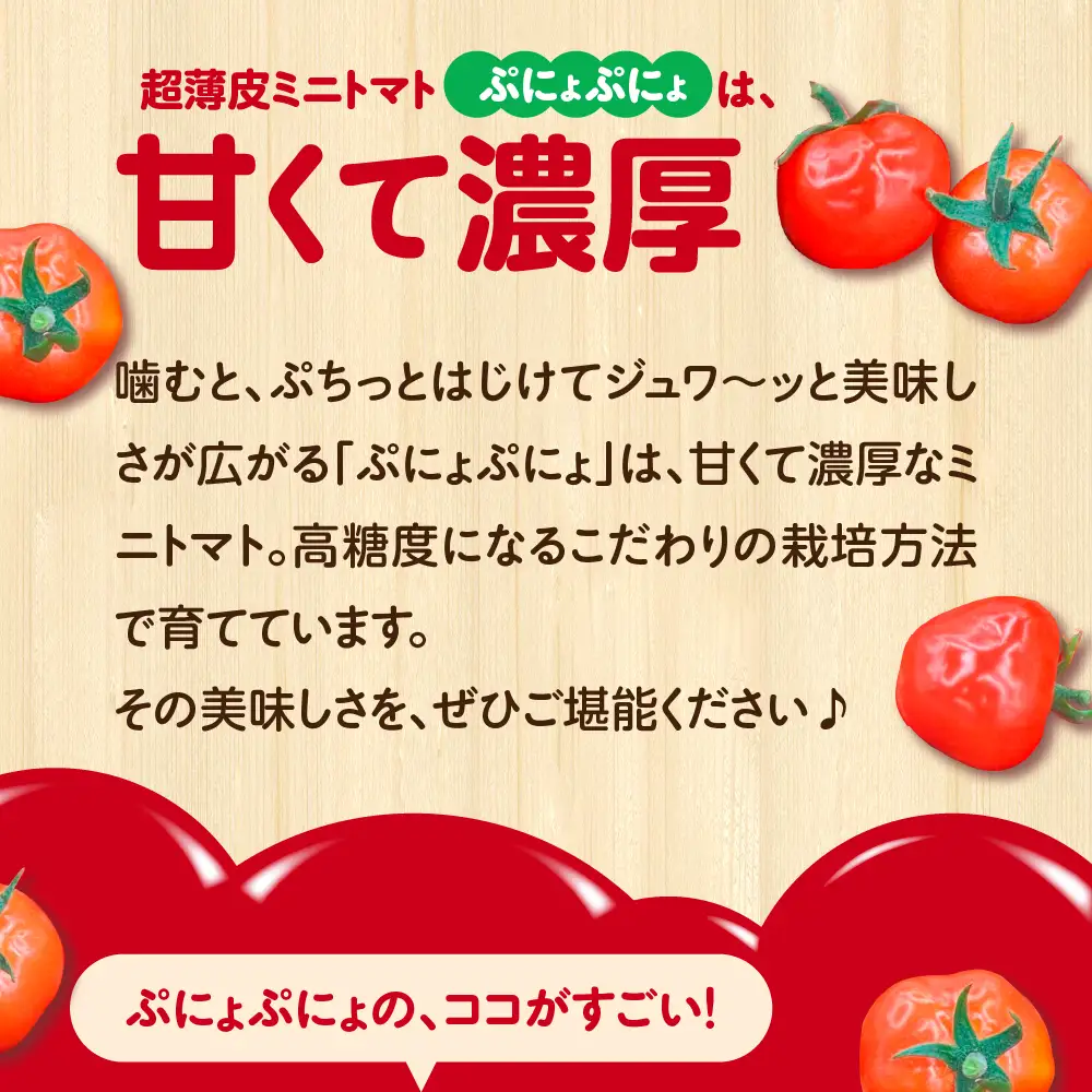 ミニトマト 超薄皮約1.7kg【2026先行受付】7～9月ミニトマト