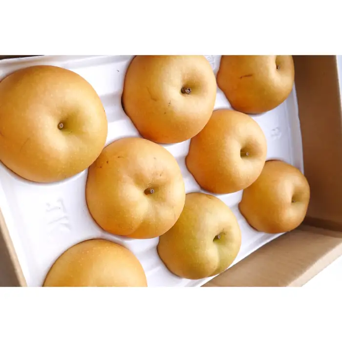 【期間限定】たにがみ農園の新甘泉 2.5キロ箱　(鳥取県産)