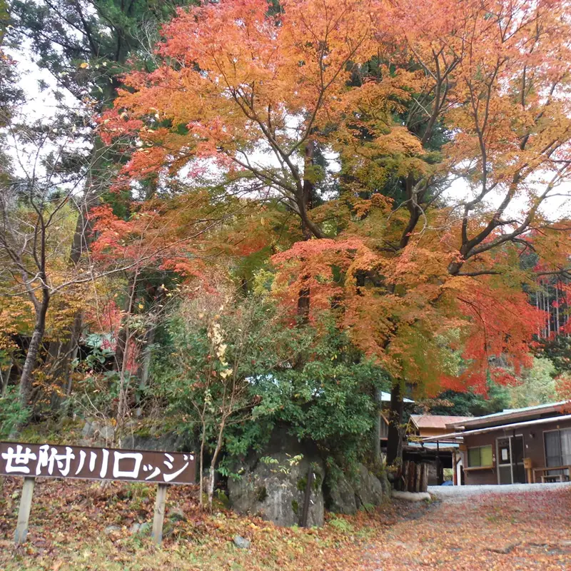 【世附川ロッジ】日帰り（デイキャンプ）　３名様（大人小人共通）・BBQスペース付