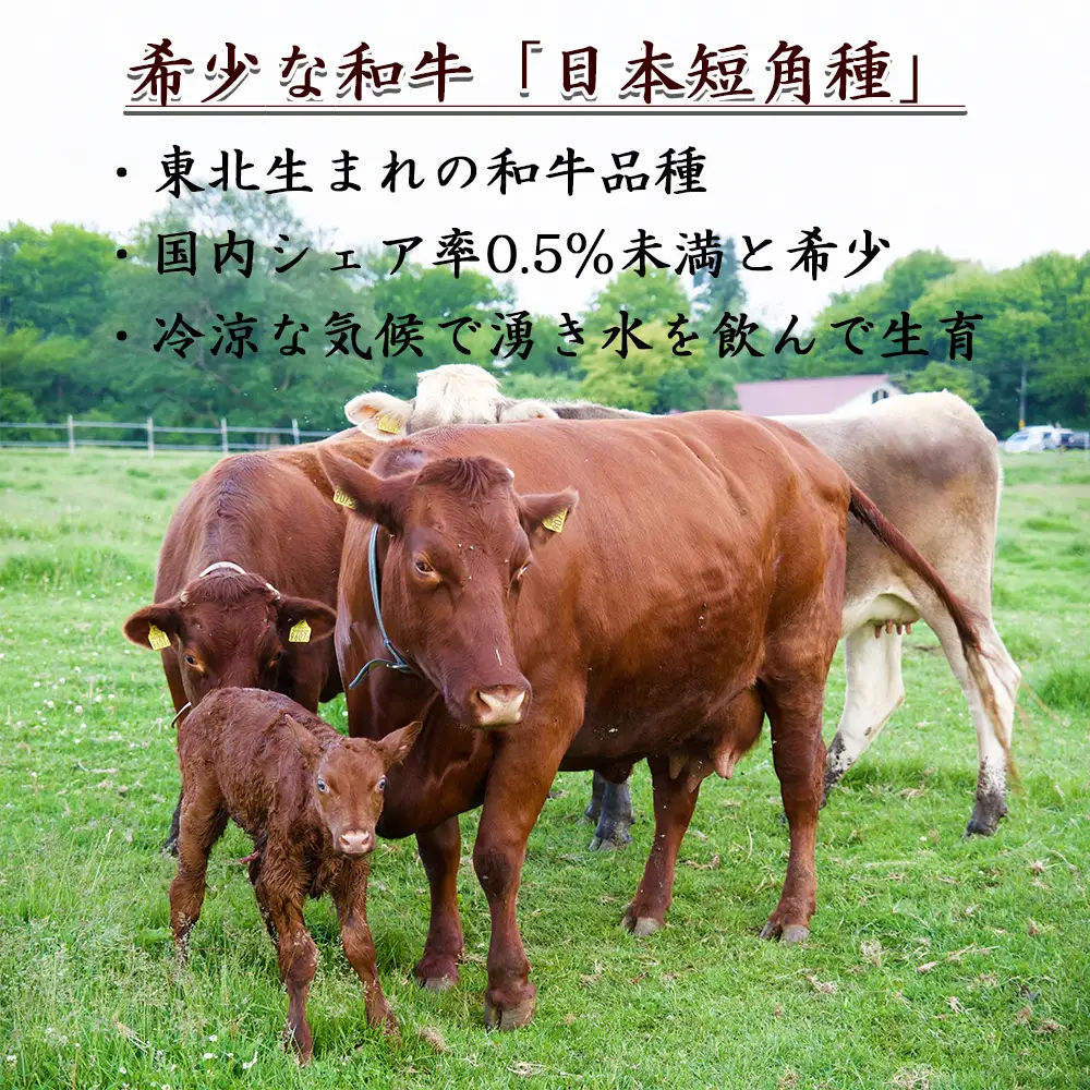 【ふるなびWEEK対象】【個数限定】長門牧場　希少和牛「日本短角種」おためしセット　お肉　国産牛肉　切り落とし　長野県お歳暮 放牧 赤身 旨み 詰合せ