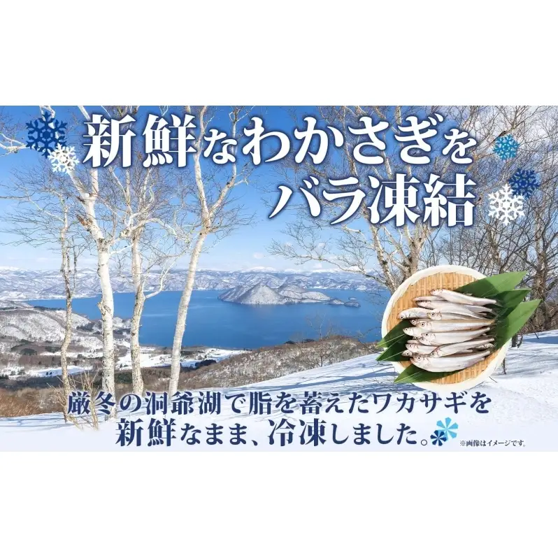 【ふるなびWEEK対象】洞爺湖町産 黄金のわかさぎ 18尾×2P 計36尾 12月以降順次出荷 北海道産 ワカサギ わかさぎ 川魚 魚介類 産地直送 冷凍 お取り寄せ グルメ 天ぷら とうやマルシェ 北海道 洞爺湖町