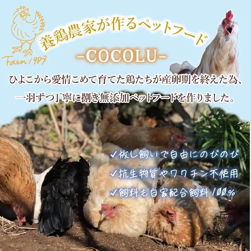 ペットフード 鶏肉 ミンチ 犬 猫 ごはん ペットフード