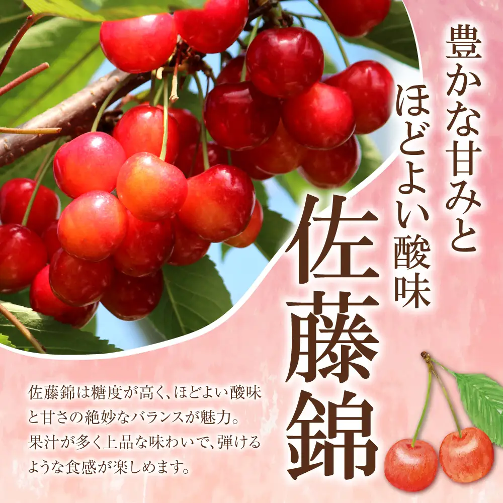 2027年発送【先行予約】令和9年産 さくらんぼ 佐藤錦【L～2Lサイズ】400g×2 【合同会社中川農園】_Y141-0004