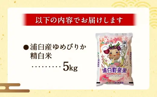 〈 令和8年産 〉 浦臼産ゆめぴりか 精白米 5kg × 1袋 お米 米 こめ コメ 白米 白飯 飯 ご飯 おにぎり 国産 北海道産 ブランド米 ブランド 粘り タンパク質 艶 【 2026年10月下旬より順次発送 】