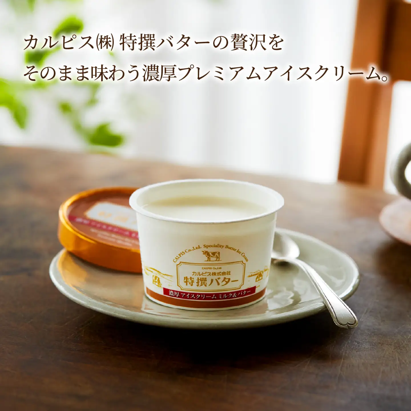カルピス(株)特撰バターアイスクリーム 10個入 アイス プレミアム