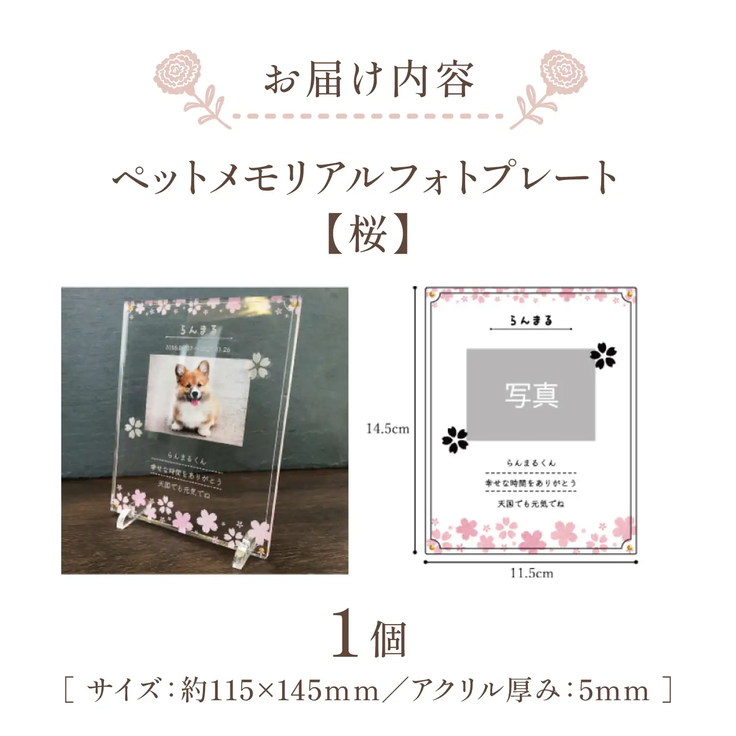 ペットメモリアルフォトプレート【桜】 / 思い出 ペット アクリルスタンド / 稲沢市 / Savoia[BMAN003-07]