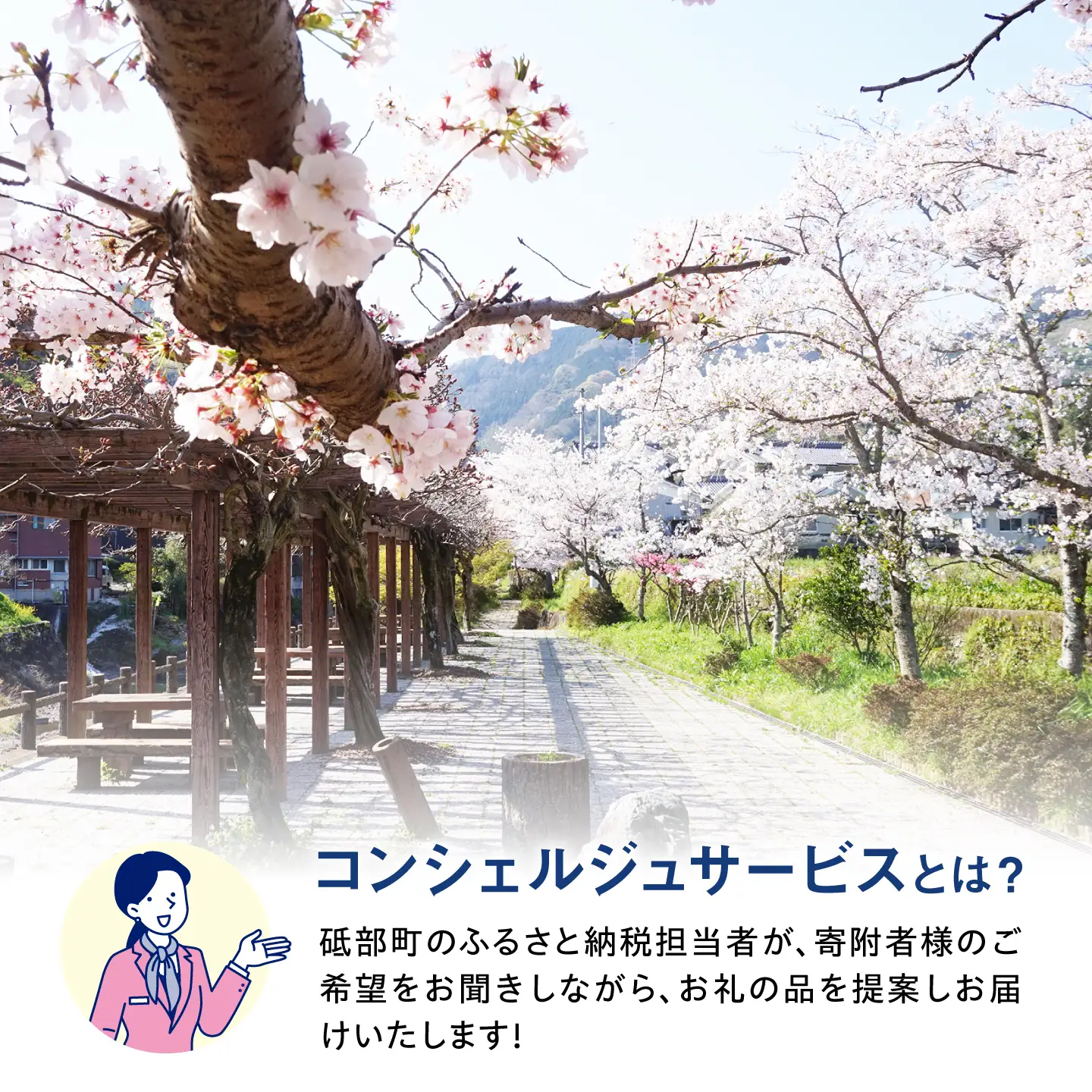 【砥部町コンシェルジュ】返礼品おまかせ！寄附額30万円コース 300,000円 砥部焼 焼き物 磁器 食器 柑橘 みかん 詰め合わせ プレゼント 内祝い お返し ギフト グルメ 食品 お取り寄せ 高級[BJYZ013]
