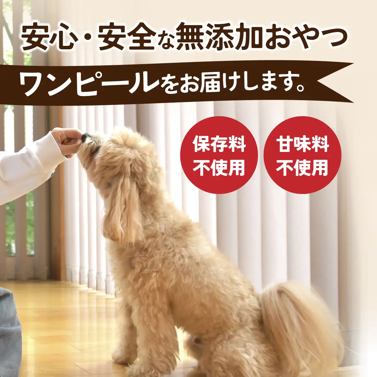 ペットフード ドライさつまいも コンパクトフレーク(30g×4袋)  | ペットフード ぺっとふーど
