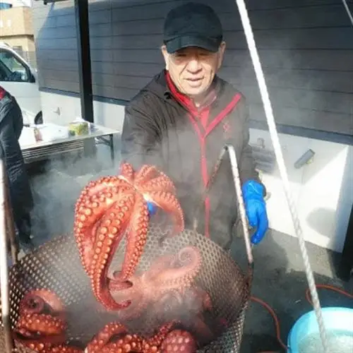 【千葉県大原産】浜ゆで地だこ 約1kg【配送不可地域：離島】【1711005】