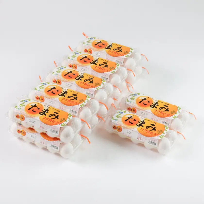 いすみポートリー「たまみ」コク旨仕立て10個入×10パック+割れ保障10個×2パック付【配送不可地域：離島】【1729055】