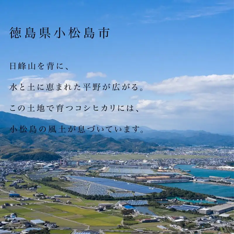 令和7年産 コシヒカリ 10kg 白米 米 数量 限定 こしひかり 10キロ 米10kg 小松島市