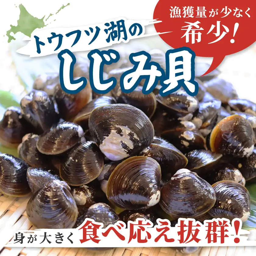 【北海道小清水町】トウフツ湖のしじみと網走湖のしじみ食べ比べセット【配送不可地域：離島】【1739462】