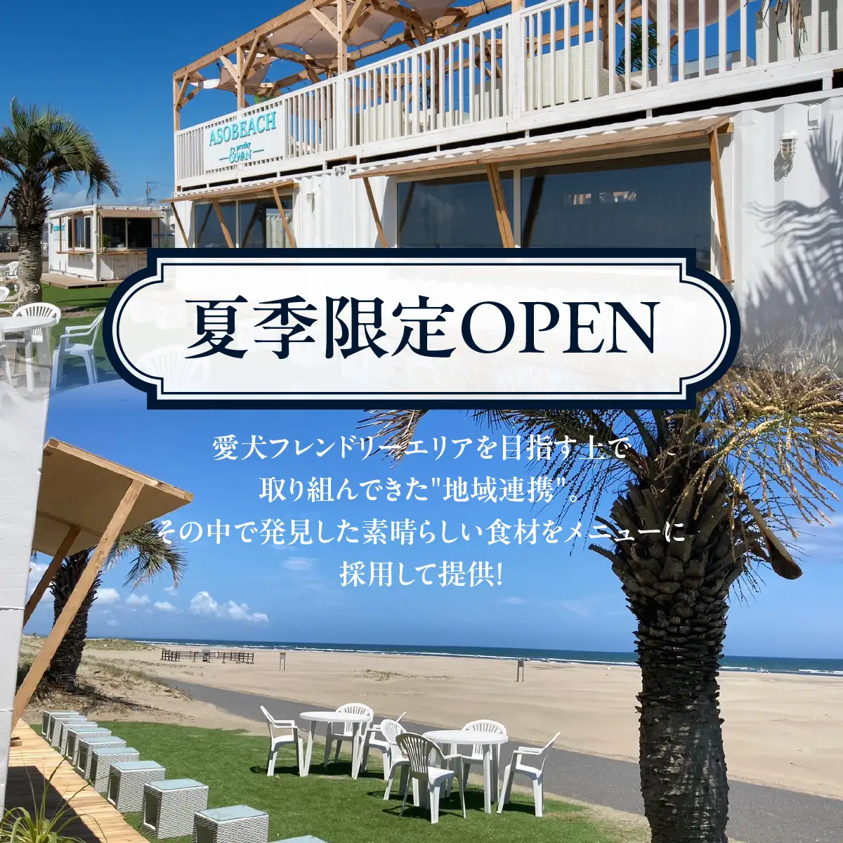 ASOBEACH 愛犬と過ごす海の家 VIP席貸切＋食べ飲み放題(最大16名) /ふるさと納税 チケット 旅行 ペット わんちゃん ドッグラン＆WAN アンドワン 犬 いぬ イヌ 海の家 九十九里 千葉県 山武市 SMU015