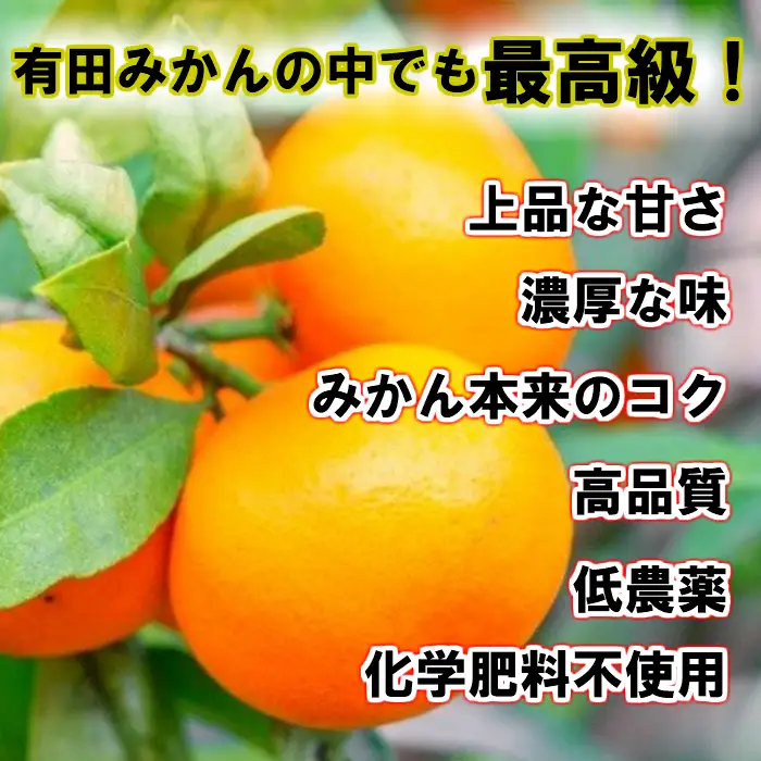 【先行予約】【秀品】田村みかん 和歌山有田 約5kg
