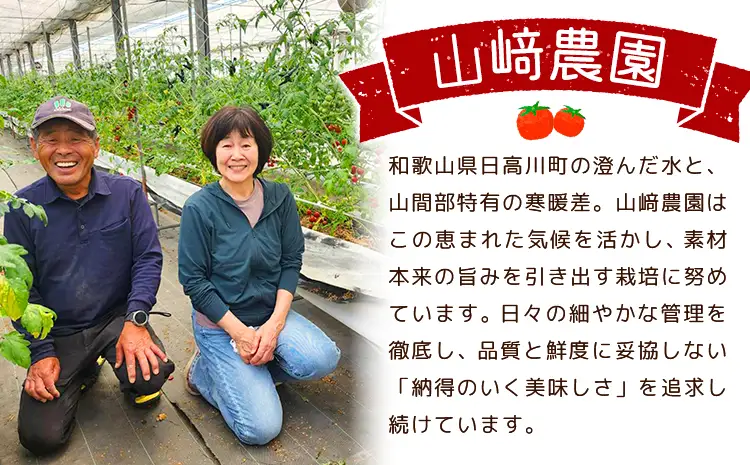 ミニトマト キャロルセブン 約1kg トマト
