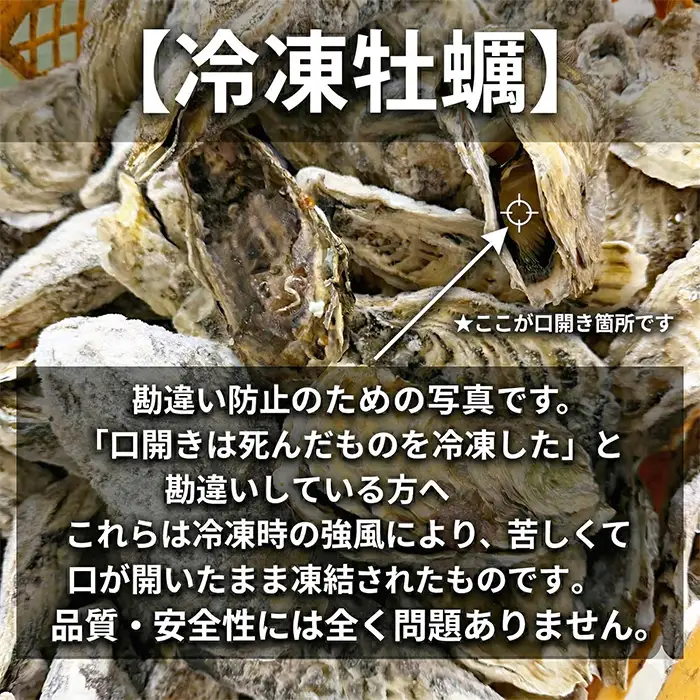 松島牡蠣屋 冷凍牡蠣（生食用） 8kg 宮城県産 牡蛎 牡蠣 カキ オイスター カキフライ 牡蠣鍋 海鮮 国産 魚貝類 急速冷凍 【菊地水産合同会社】tm752