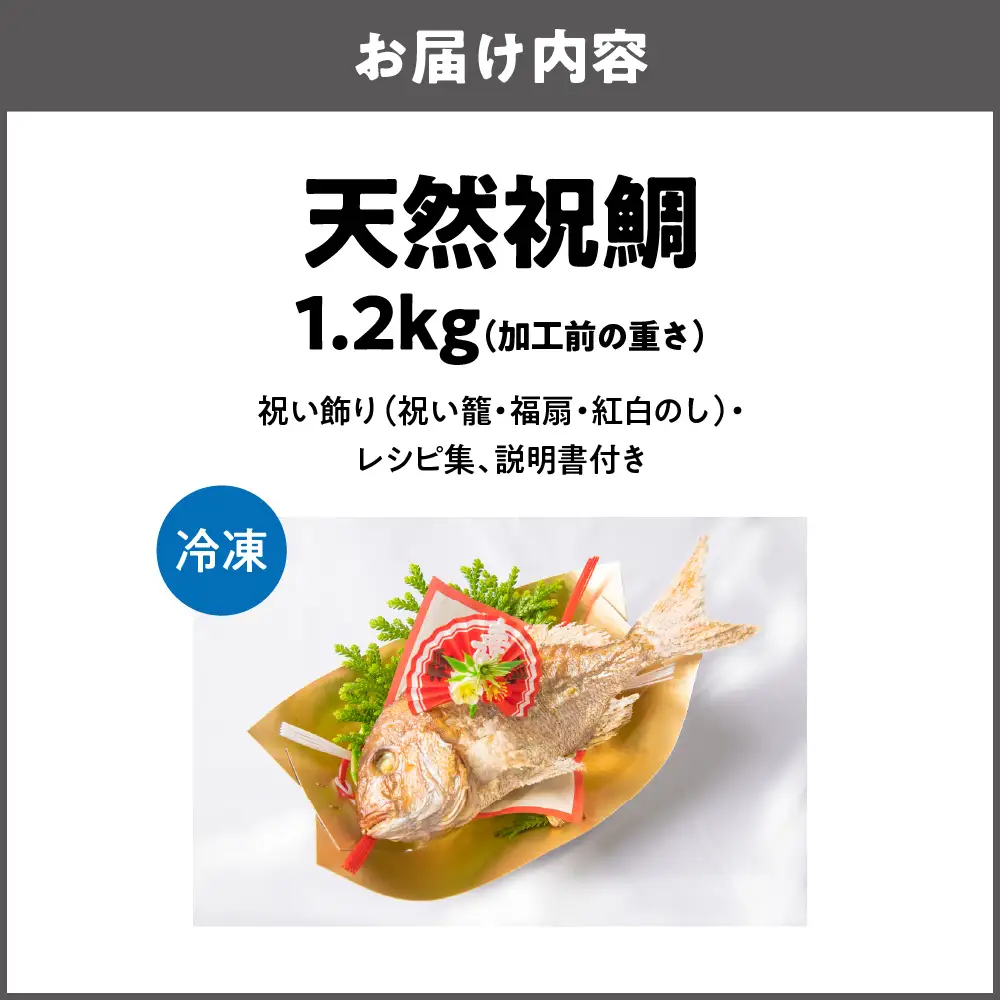 【商店街逸品】天然祝鯛 炭火焼 1.2kgアップ_OS389-0001-03