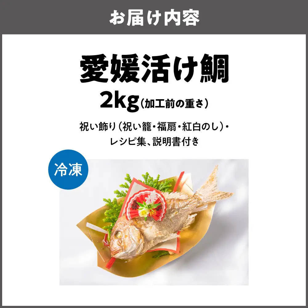 【商店街逸品】天然祝鯛 炭火焼 2kgアップ（愛媛活け鯛）_OS389-0003-01