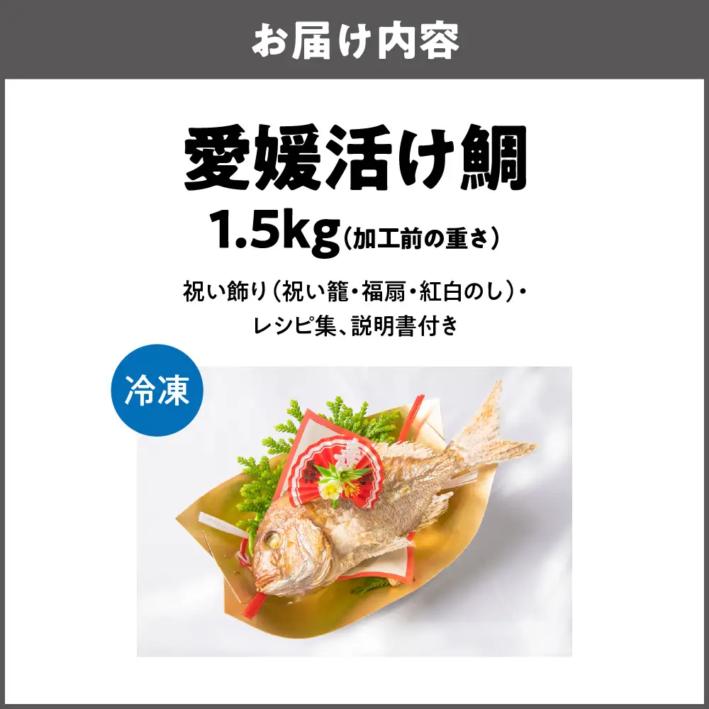 【商店街逸品】天然祝鯛 炭火焼 1.5kgアップ（愛媛活け鯛）_OS389-0003-03