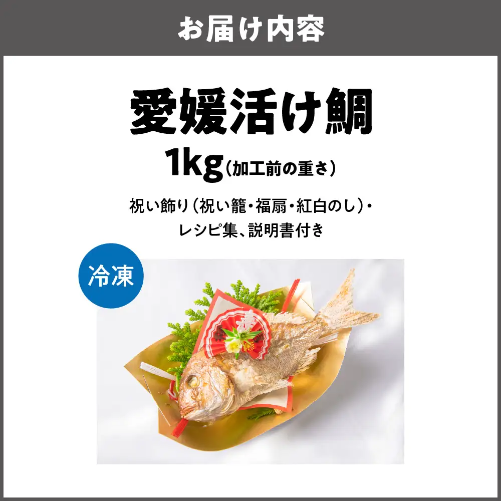 【商店街逸品】天然祝鯛 炭火焼 1kgアップ（愛媛活け鯛）_OS389-0003-05