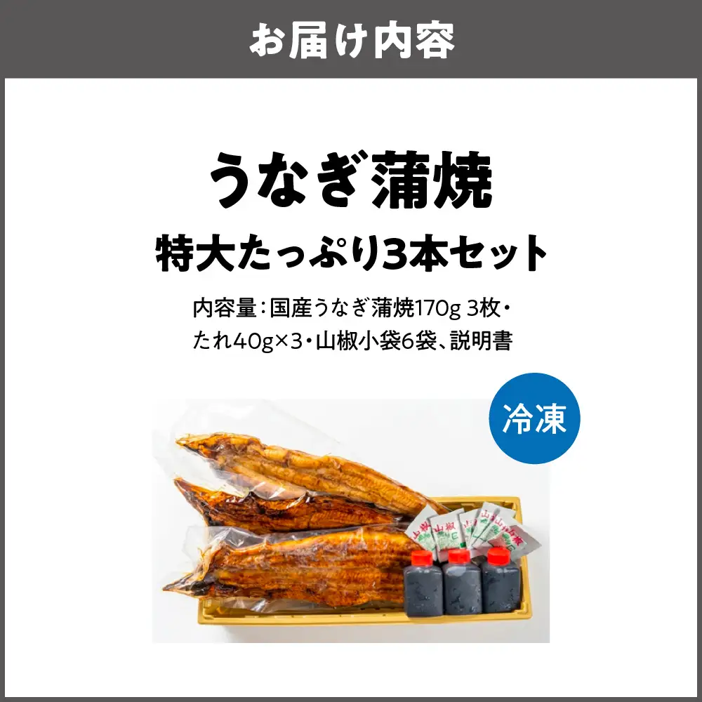 【商店街逸品】矢作川うなぎ蒲焼 特大たっぷり3本セット_OS389-0005-02
