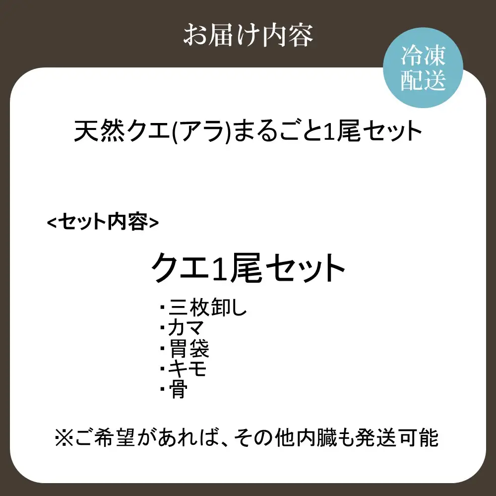 天然クエ（アラ）まるごと1尾セット（約3kg）【マルケイ水産】_HA2007 クエ くえ 天然 まるごと 刺身 鍋 贅沢 高級魚 福岡県宗像市 宗像市 福岡 宗像