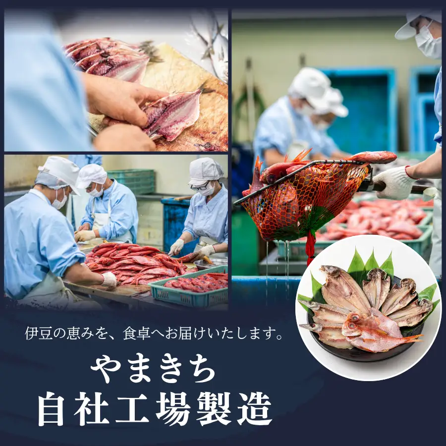 アジの干物セット 【 干物 訳あり 】