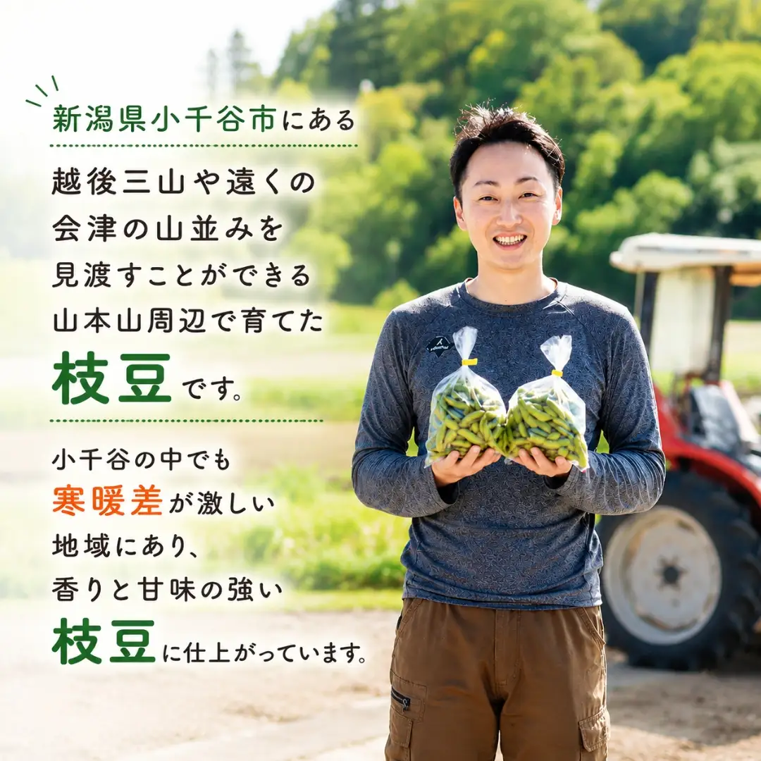 小千谷産枝豆 約1.8kg 農園つなり| 枝豆 品種おまかせ