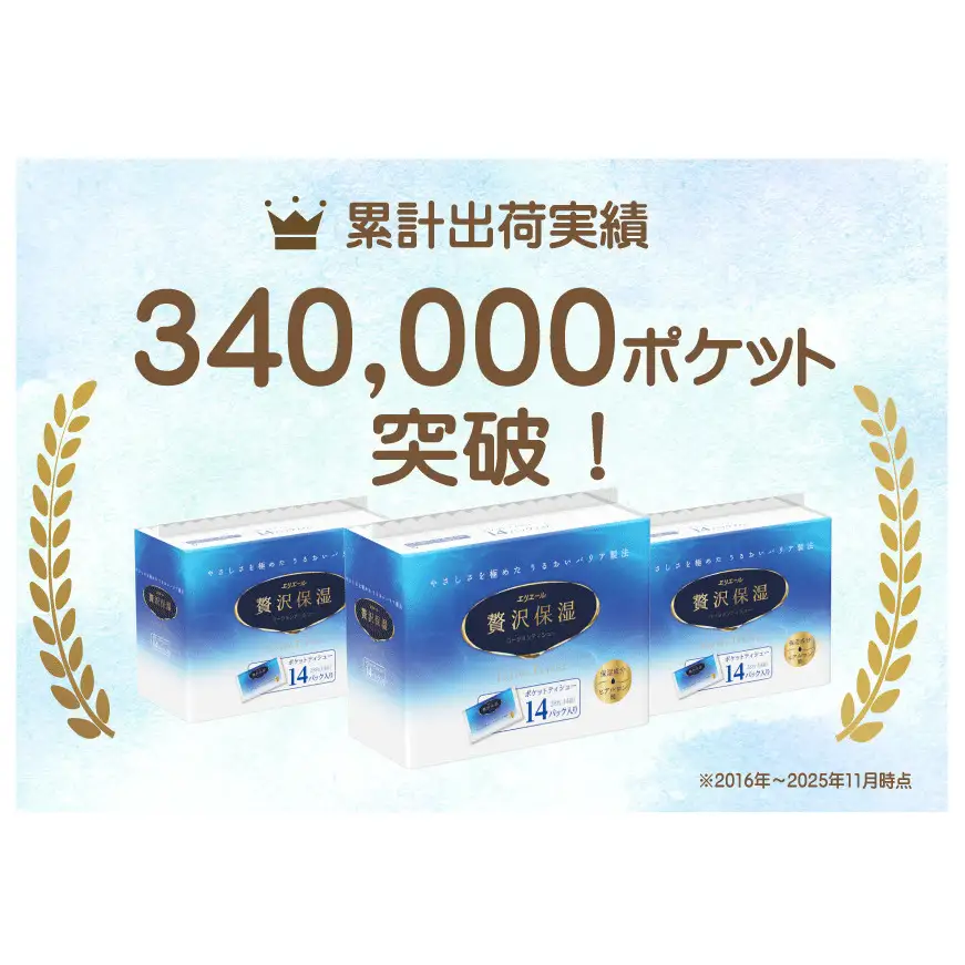 【2ヵ月連続お届け】 エリエール 贅沢保湿 ポケットティシュー 14P×16パック 計224P ティッシュ まとめ買い ペーパー 紙 防災 常備品 備蓄品 消耗品 備蓄 日用品 生活必需品 送料無料 北海道 赤平市