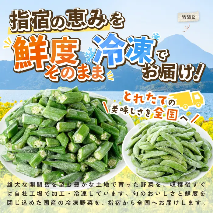 冷凍 そらまめ(500g×2P)・冷凍 オクラスライス(500g×1P) (オリエンタルアグリ/IB152-007) 