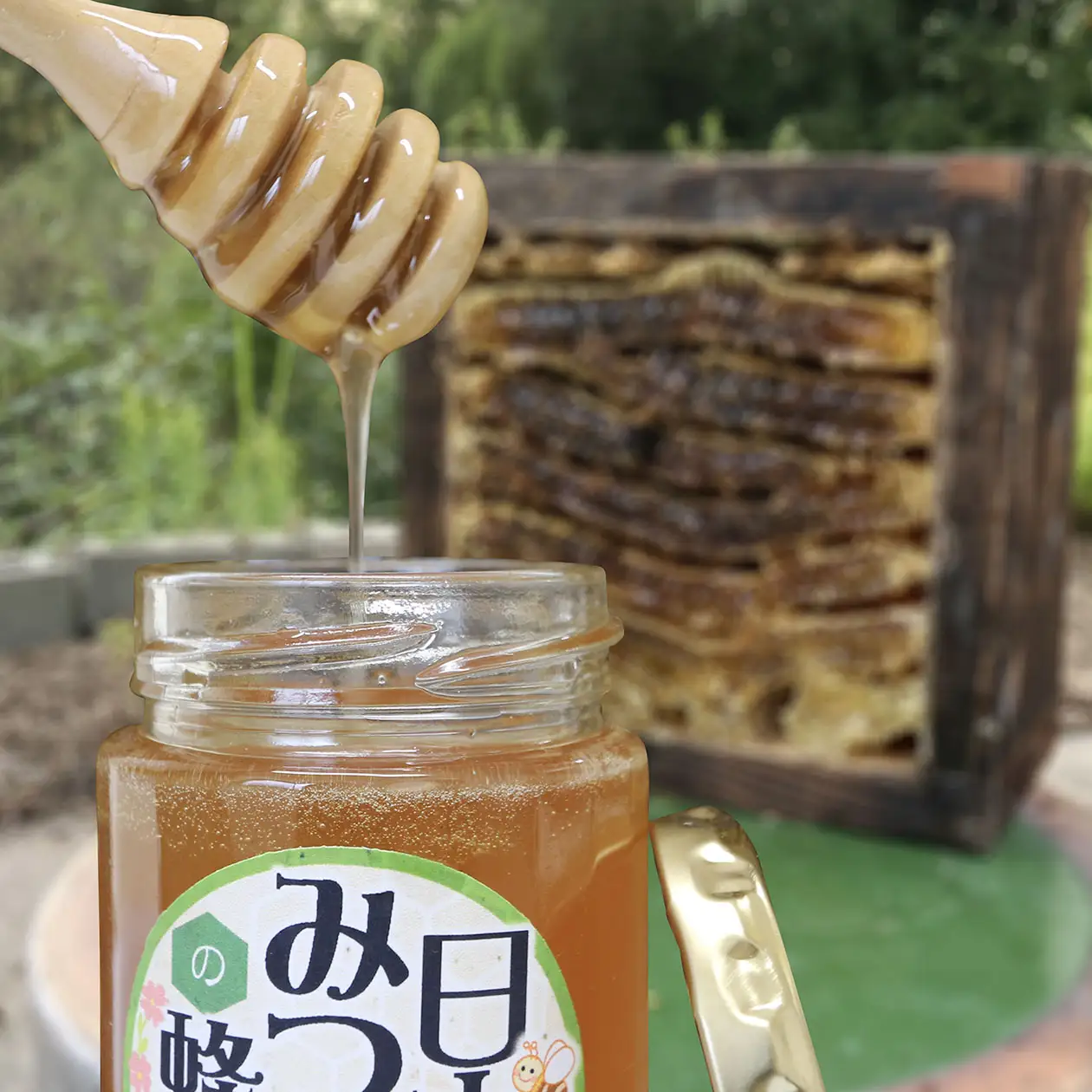 海の見える小さなベリー園の日本みつばちと西洋みつばちのハチミツ非加熱の食べ比べセット(C) 海の見える小さなベリー園 山口県 防府市 A-B41 はちみつ 国産 天然 純粋 食べ比べ 日本ミツバチ 西洋ミツバチ 希少 高級 贈り物 ギフト