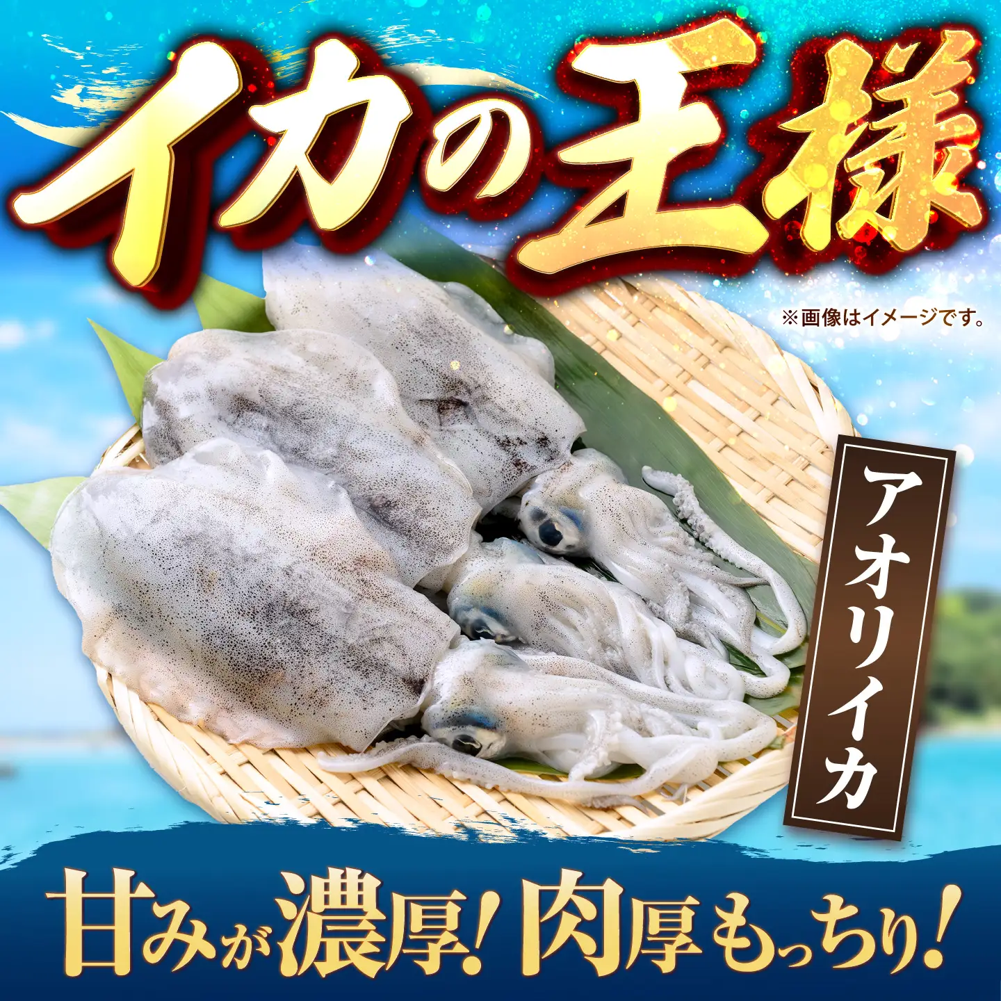 訳あり アオリイカ 300g JCC027 いか