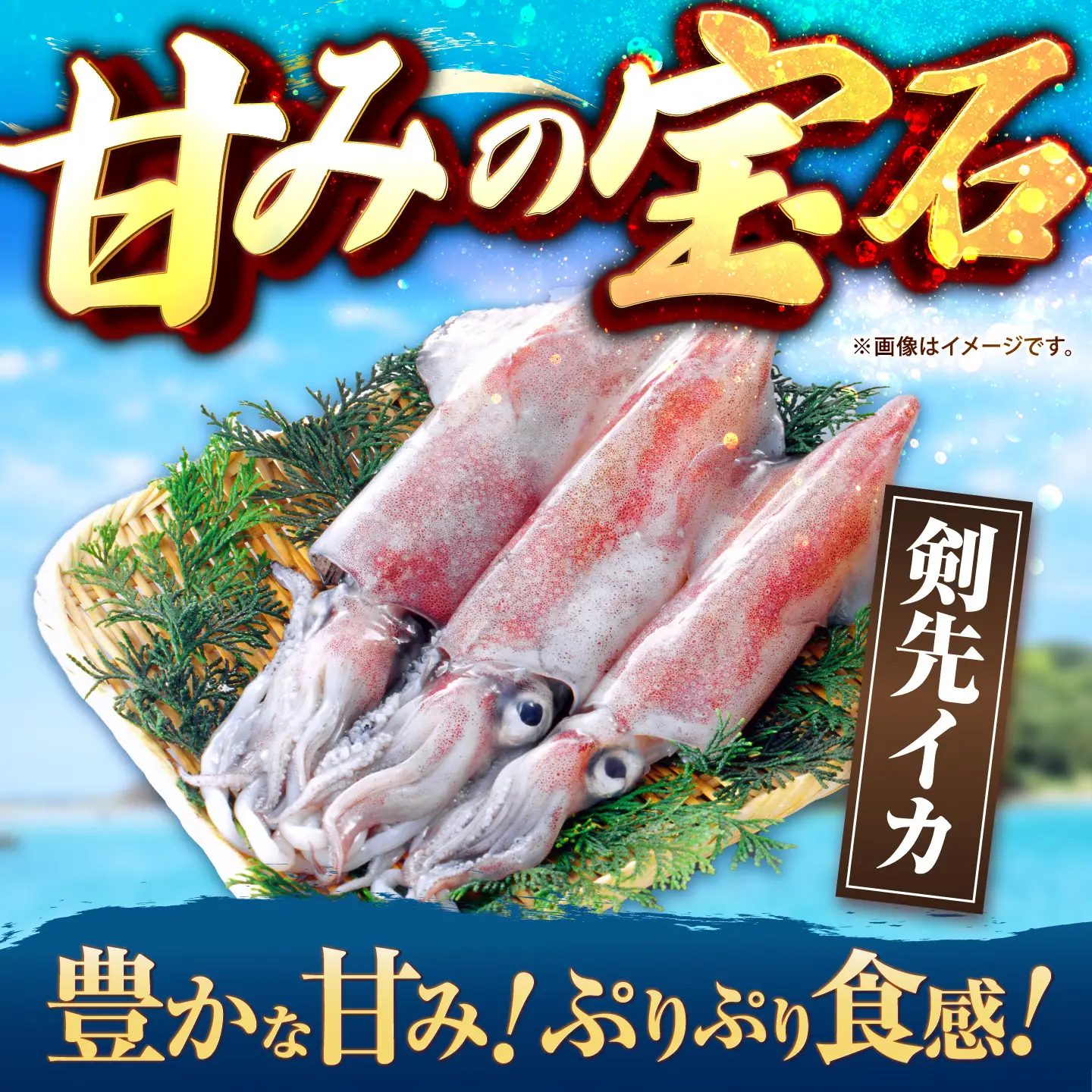 訳あり 剣先イカ 300g JCC028 いか
