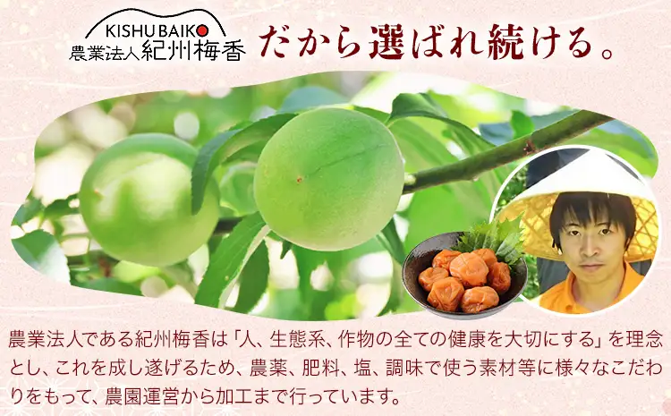 梅干し無添加つぶれ減塩梅干 塩分3% 1kg 500g×2パック