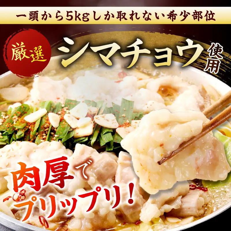 もつ鍋 塩味 2人前【A-875】