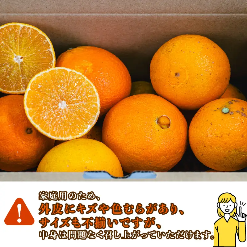 【 紅まどんな と同品種】 家庭用 愛果28号 約2.5kg コルレオファーム まどんな B012-145023