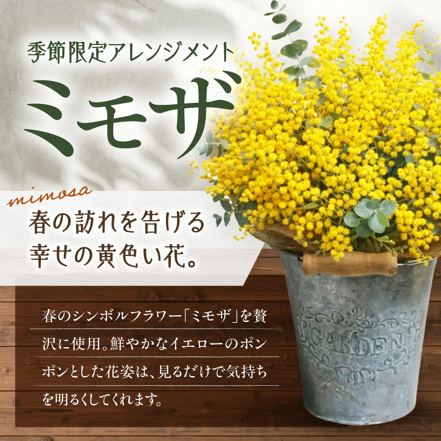 ミモザのアレンジメント / ミモザ ユーカリ  ドライフラワー ブーケ 花束 花飾り インテリア雑貨 大阪府 / 大阪府藤井寺市/Jam Flower Salon[BLAW011]