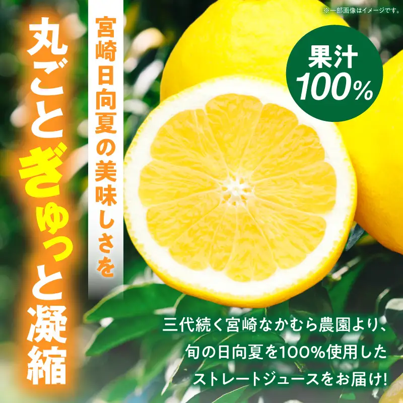 日向夏ストレートジュース100％(500ml×1本、1000ml×1本セット) 日向夏 ジュース 柑橘