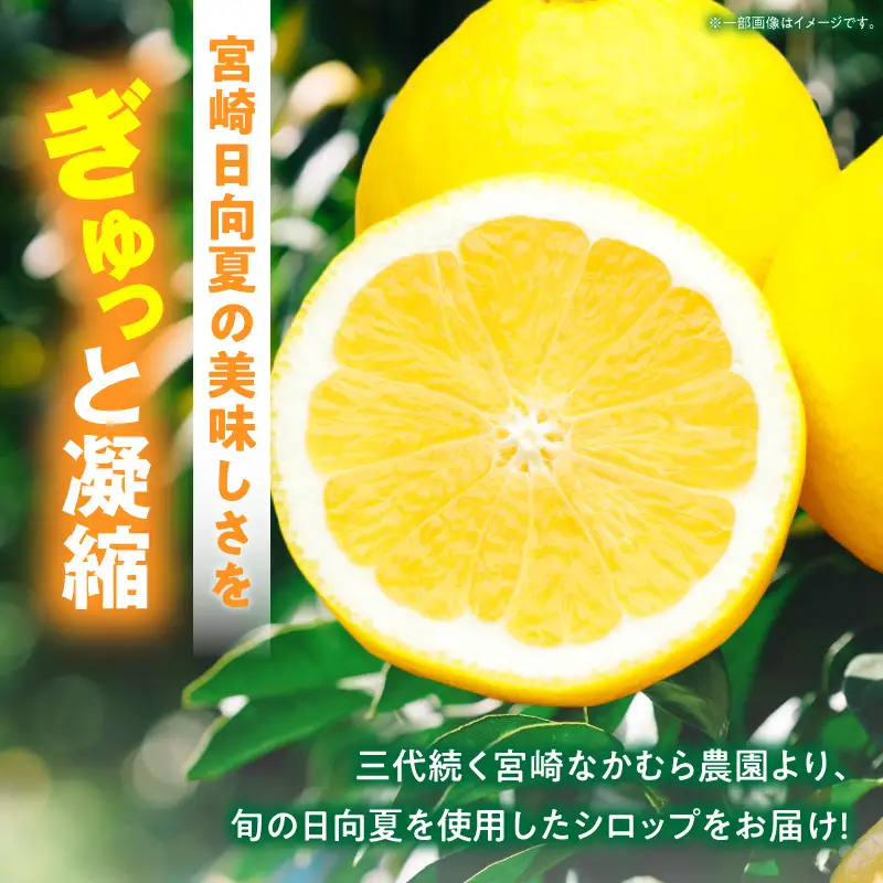 日向夏シロップ(150ml×2本セット) 日向夏 シロップ 柑橘