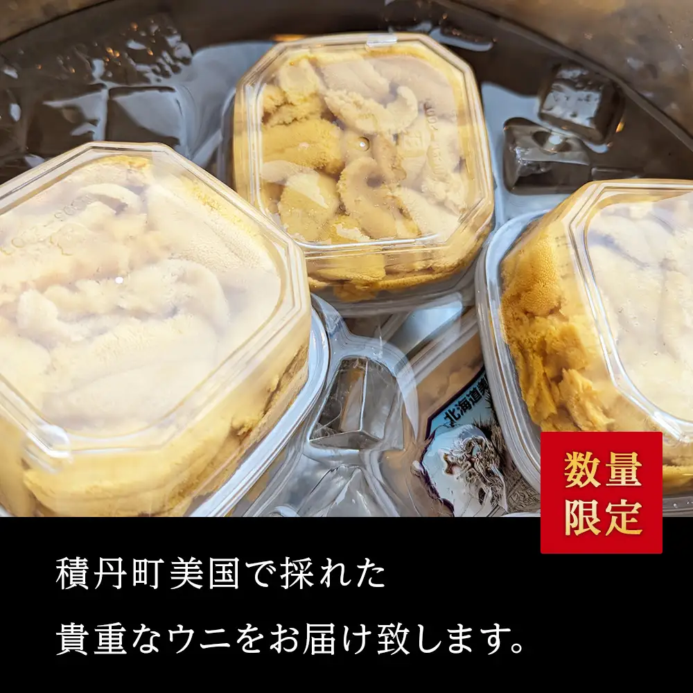【期間限定】〈2026年発送予約〉美国産雲丹40g ミニウニ丼サイズ 北海道 ウニ うに