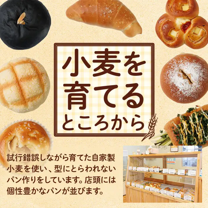 おまかせパンセット(合計10個) パン 朝ごはん 朝食 おやつ 食べ比べ お楽しみ 詰合せ ふすま【119600200】【黒川さんちのパン】